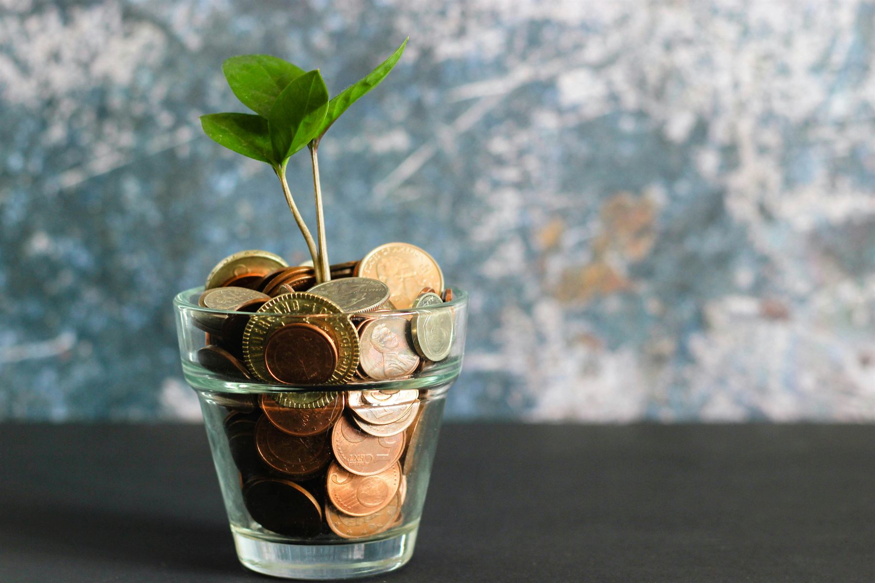 Coins and a small plant representing tax planning and savings